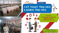 Công ty TNHH Japfa Comfeed Việt Nam, tuyển dụng nhân sự tháng 8 2021