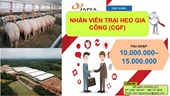 Công ty TNHH Japfa Comfeed Việt Nam, cần tuyển gấp
