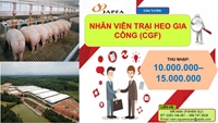 Công ty TNHH Japfa Comfeed Việt Nam, cần tuyển gấp