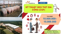 Công ty TNHH Japfa Comfeed Việt Nam, cần tuyển gấp