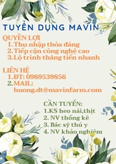 CÔNG TY CHĂN NUÔI MAVIN tuyển dụng