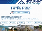 Công ty CP Phát triển Chăn nuôi Hòa Phát - Tập đoàn Hòa Phát cần tuyển