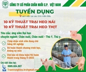 CÔNG TY CỔ PHẦN CHĂN NUÔI C P VIỆT NAM Tuyển Dụng