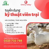 Công ty TNHH nông nghiệp Bình An Phát thông báo tuyển dụng