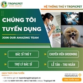 HỆ THỐNG THÚ Y TROPICPET THÔNG BÁO TUYỂN DỤNG