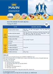 Mavin Austfeed tuyển dụng nhiều vị trí trong Tháng 7 2023