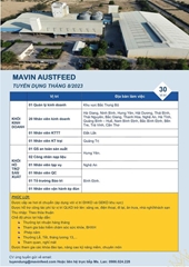 Mavin Austfeed tuyển dụng Tháng 8 2023