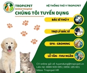 HỆ THỐNG THÚ Y TROPICPET THÔNG BÁO TUYỂN DỤNG