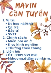 CÔNG TY CHĂN NUÔI MAVIN cần tuyển