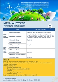 Mavin Austfeed tuyển dụng nhiều vị trí trong Tháng 10