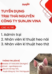 Sunjin Vina-CN Miền Bắc thông báo tuyển dụng