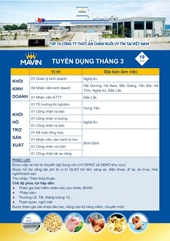 Mavin Austfeed tuyển dụng các vị trí nhân sự Tháng 3 2024