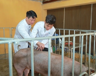 Rộng mở cơ hội việc làm với ngành Chăn nuôi thú y