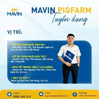 TUYỂN DỤNG THÁNG 7 – GIA NHẬP HỆ THỐNG CHĂN NUÔI HIỆN ĐẠI CÙNG MAVIN