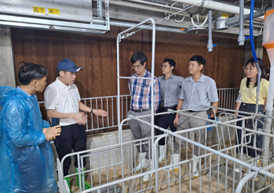 Thạc sĩ Chăn nuôi Thú y VNUA Trở thành chuyên gia kỹ thuật và quản lý toàn diện