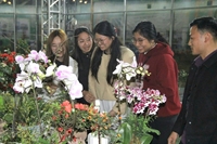 Từ hội chợ Xuân đến sàn số Học viện Nông nghiệp Việt Nam mở “đường online” cho nông sản