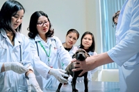 Nữ đại biểu Quốc hội, nhà khoa học tâm huyết với nông nghiệp Thủ đô