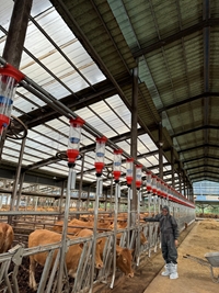 SỨC BẬT TỪ NGÀNH CHĂN NUÔI TRỤ CỘT VỮNG CHẮC CỦA KINH TẾ VÀ ĐỜI SỐNG XÃ HỘI VIỆT NAM
