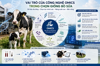 VAI TRÒ CỦA CÔNG NGHỆ OMICS TRONG CHỌN GIỐNG BÒ SỮA