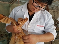 Tấm gương sáng sinh viên Đỗ Quang Sơn – sinh viên đam mê nghiên cứu khoa học