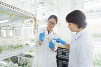 Công nghệ sinh dược Mảnh ghép hoàn hảo giữa Công nghệ Sinh học và Dược học