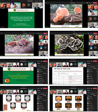 Seminar khoa học tuần 47 năm 2021 của nhóm nghiên cứu mạnh “Nấm ăn, nấm dược liệu”