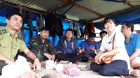 Nguồn Gen Nấm Lim Xanh Tại Quảng Nam