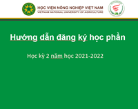 Tập huấn đăng ký học phần