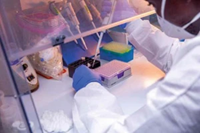 Tầm quan trọng của chẩn đoán phân tử đối với các bệnh truyền nhiễm trong điều kiện y tế còn hạn chế