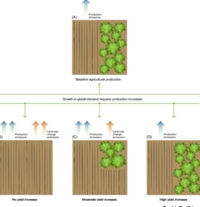 [CNSH TV] Cây trồng biến đổi gen hỗ trợ giảm thiểu biến đổi khí hậu