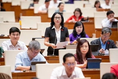 ĐBQH Nguyễn Thị Lan Cần giải pháp tổng thể để nâng cao giá trị nông sản chủ lực