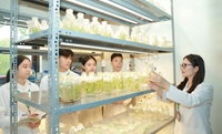 Công nghệ sinh học