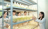Chương trình đào tạo trình độ thạc sĩ ngành Công nghệ sinh học
