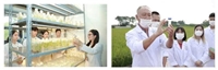 Chương trình đào tạo trình độ Tiến sĩ Công nghệ sinh học Hướng tới đào tạo nhà khoa học dẫn đầu đổi mới sáng tạo