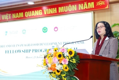Hơn 2 tỷ đồng học bổng hợp tác Việt Nam và Ireland