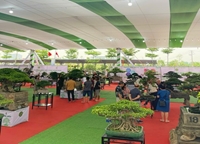 Festival Hoa, Cây cảnh VNUA 2025 – Không gian học tập sáng tạo dành cho sinh viên ngành Sư phạm công nghệ