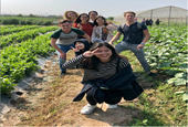 Sinh viên ngành Quản trị kinh doanh Nông nghiệp Tiên tiến thăm quan, học tập thực tế tại Công ty TNHH MTV rau củ quả an toàn Thanh Hà