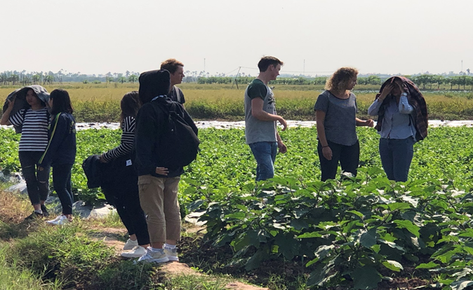 Các sinh viên đang chia sẻ kinh nghiệm về một số đặc điểm trong kinh doanh nông nghiệp ở Việt Nam và Hà Lan