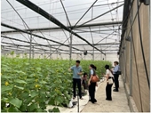 Khảo sát thực trạng ứng dụng và chuyển giao khoa học công nghệ của HTX trên địa bàn huyện Yên Dũng, tỉnh Bắc Giang