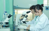 Học viện Nông nghiệp Việt Nam công bố mức điểm nhận xét tuyển đại học chính quy