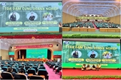 Thúc đẩy cơ hội nghề nghiệp dành cho sinh viên ngành Kế toán doanh nghiệp và Tài chính Ngân hàng tại Học viên Nông nghiệp Việt Nam