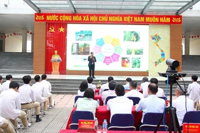 Khi học sinh THPT bắt đầu nghĩ xa hơn chuyện “thi đỗ”