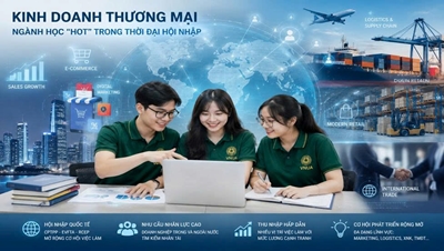 Ngành Kinh doanh Thương mại là gì