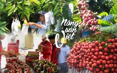Các giải pháp bán hàng và tiêu thụ sản phẩm nông nghiệp của hộ nông dân thực trạng và đề xuất kiến nghị