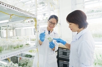 Một ngành học mới toanh ở Học viện Nông nghiệp Việt Nam nhưng thu hút nhiều sinh viên vì cơ hội việc làm tốt