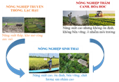 Nông nghiệp sinh thái – Hướng đi tất yếu cho nền nông nghiệp Việt Nam