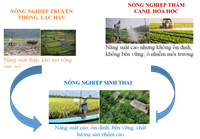 Nông nghiệp sinh thái – Hướng đi tất yếu cho nền nông nghiệp Việt Nam