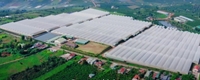 Sinh viên ngành Nông nghiệp công nghệ cao thực tập tại Đà Lạt Hasfarm