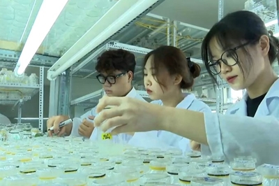 Cơ hội nghề nghiệp của ngành Công nghệ sinh học rất đa dạng