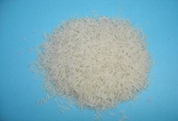 Giống lúa thuần chất lượng Hương Việt 3 gieo cấy tại cánh đồng Mường Thanh – Điện Biên